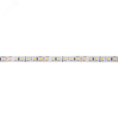 Лента светодиодная LEDх180/м 5м 16w/m 24в дневной