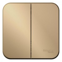 Выключатель 2-кл. ОП Blanca 10А IP20 (сх. 5) 250В с изолир. пластиной титан SE BLNVA105014 Выключатель 2-кл. ОП Blanca 10А IP20 (сх. 5) 250В с изолир. пластиной титан SE BLNVA105014