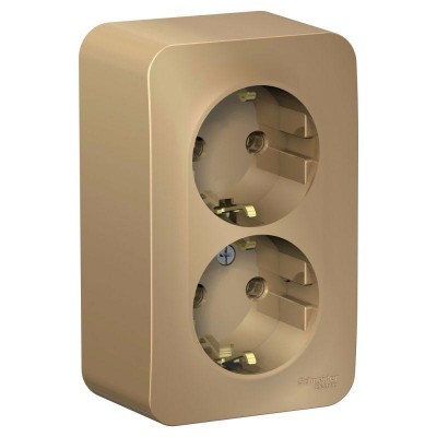 Розетка 2-м ОП Blanca 16А IP20 250В с заземл. без защ. шторок с изолир. пластиной титан SE BLNRA010214 Розетка 2-м ОП Blanca 16А IP20 250В с заземл. без защ. шторок с изолир. пластиной титан SE BLNRA010214