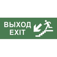 Этикетка самоклеящаяся 200х60мм "Выход/лестница вниз/фигура" DPA/DBA INFO-DBA-013 ЭРА Б0048465