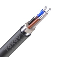 Кабель TOKOV ELECTRIC АВБШв 4х25 ОК (N) 0.66кВ (м) УТ000030757 Кабель TOKOV ELECTRIC АВБШв 4х25 ОК (N) 0.66кВ (м) УТ000030757