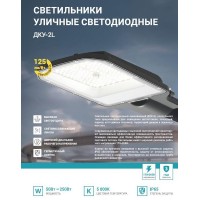 Светильник уличный линзованный светодиодный ДКУ-2L 120Вт 230В 5000К 15000лм 125лм/Вт 48-70мм IP65 NEOX 4690612057095