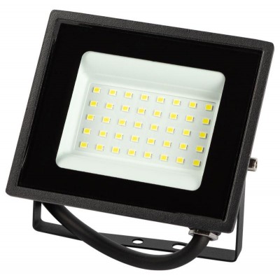 Прожектор светодиодный LPR-023-0-65K-030 30Вт 6500К 2400лм IP65 уличный Эра Б0052023