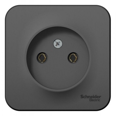 Розетка 1-м ОП Blanca 16А IP20 250В без заземл. без защ. шторок с изолир. пластиной антрацит SE BLNRA000116 Розетка 1-м ОП Blanca 16А IP20 250В без заземл. без защ. шторок с изолир. пластиной антрацит SE BLNRA000116