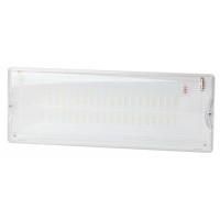 Светильник светодиодный DPA-301-0-65 40LED 3ч IP65 аварийный непостоянный Эра Б0044405 Светильник светодиодный DPA-301-0-65 40LED 3ч IP65 аварийный непостоянный Эра Б0044405
