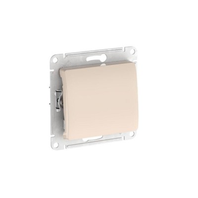 Выключатель 1-кл. Glossa (сх. 1) 10AX быстрозажим. клем. механизм беж. SE GSL000211S Выключатель 1-кл. Glossa (сх. 1) 10AX быстрозажим. клем. механизм беж. SE GSL000211S