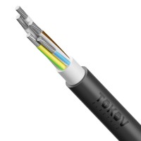 Кабель TOKOV ELECTRIC АВВГнг(А)-LS 5х25 МК (N PE) 0.66кВ (м) 00-00072434