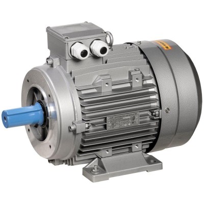 Электродвигатель АИС 3ф 100L2 220/380В 3кВт 3000об/мин 2181 ONI ONS100-L2-003-0-3021 Электродвигатель АИС 3ф 100L2 220/380В 3кВт 3000об/мин 2181 ONI ONS100-L2-003-0-3021